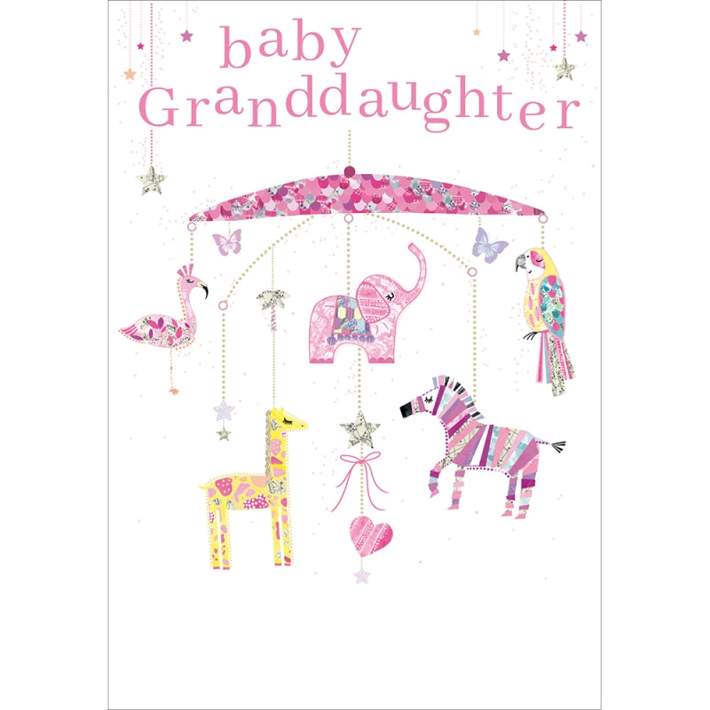 Precious New Granddaughter