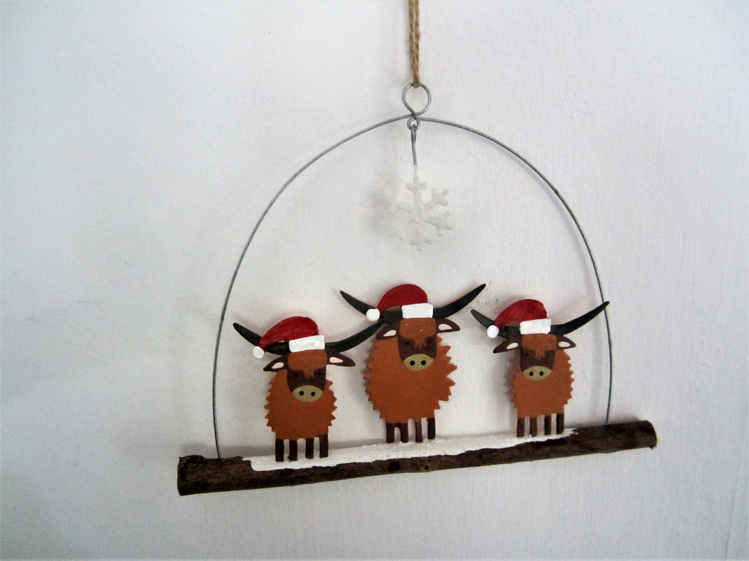 Highland Coos in Hats
