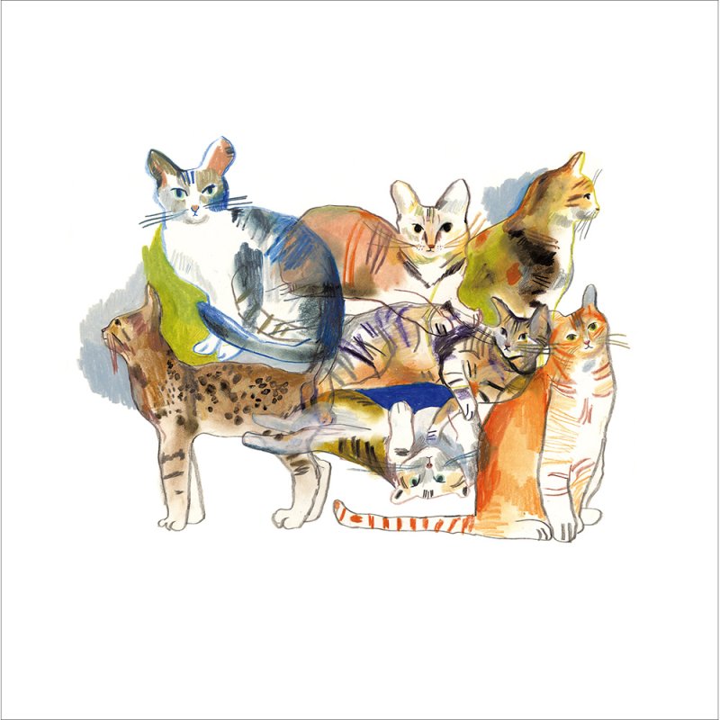 Feline Friends