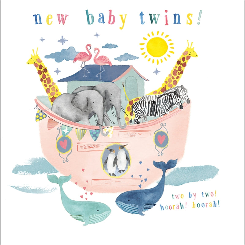 New Baby Twins