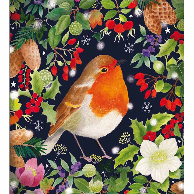 Little Robin