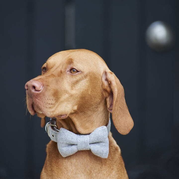 Tweed Bow Tie Grey