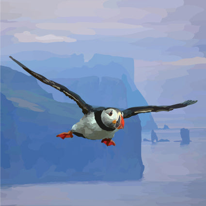 Puffin and Cliffs