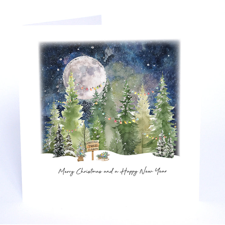 Merry Christmas and a Happy New Year