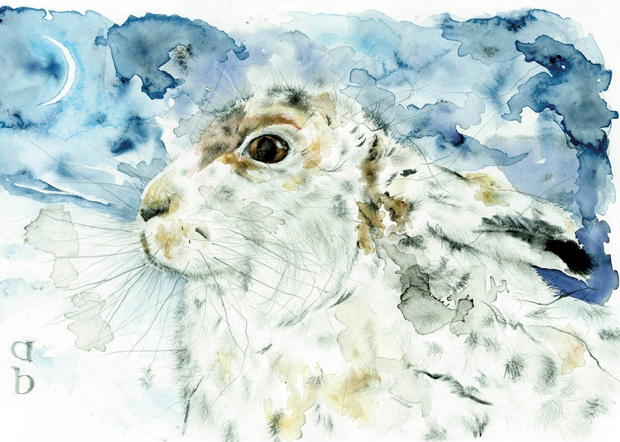 Mountain Hare