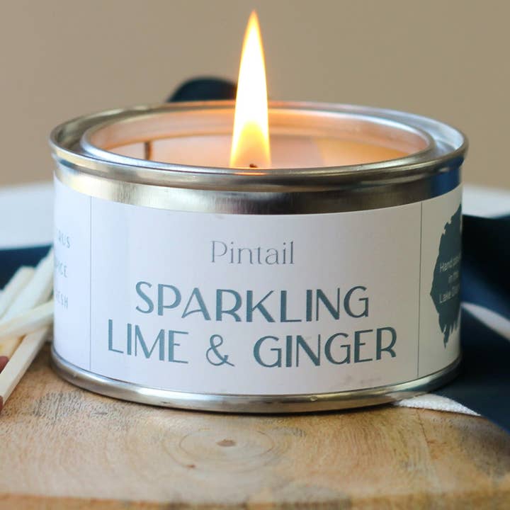 Sparkling Lime & Ginger Paint Pot Candle