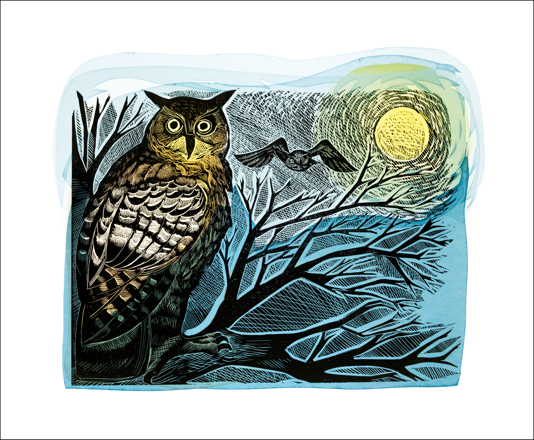 Owl and Moon