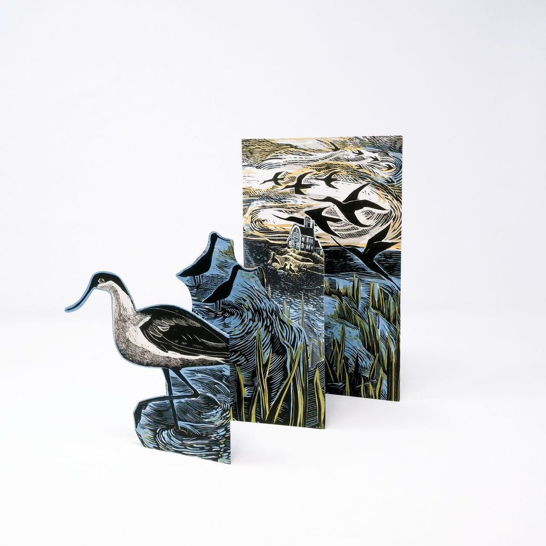 THE AVOCET