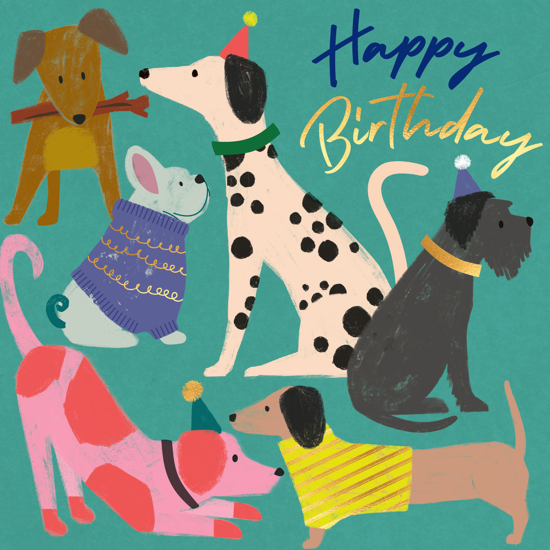 Happy Birthday Dogs