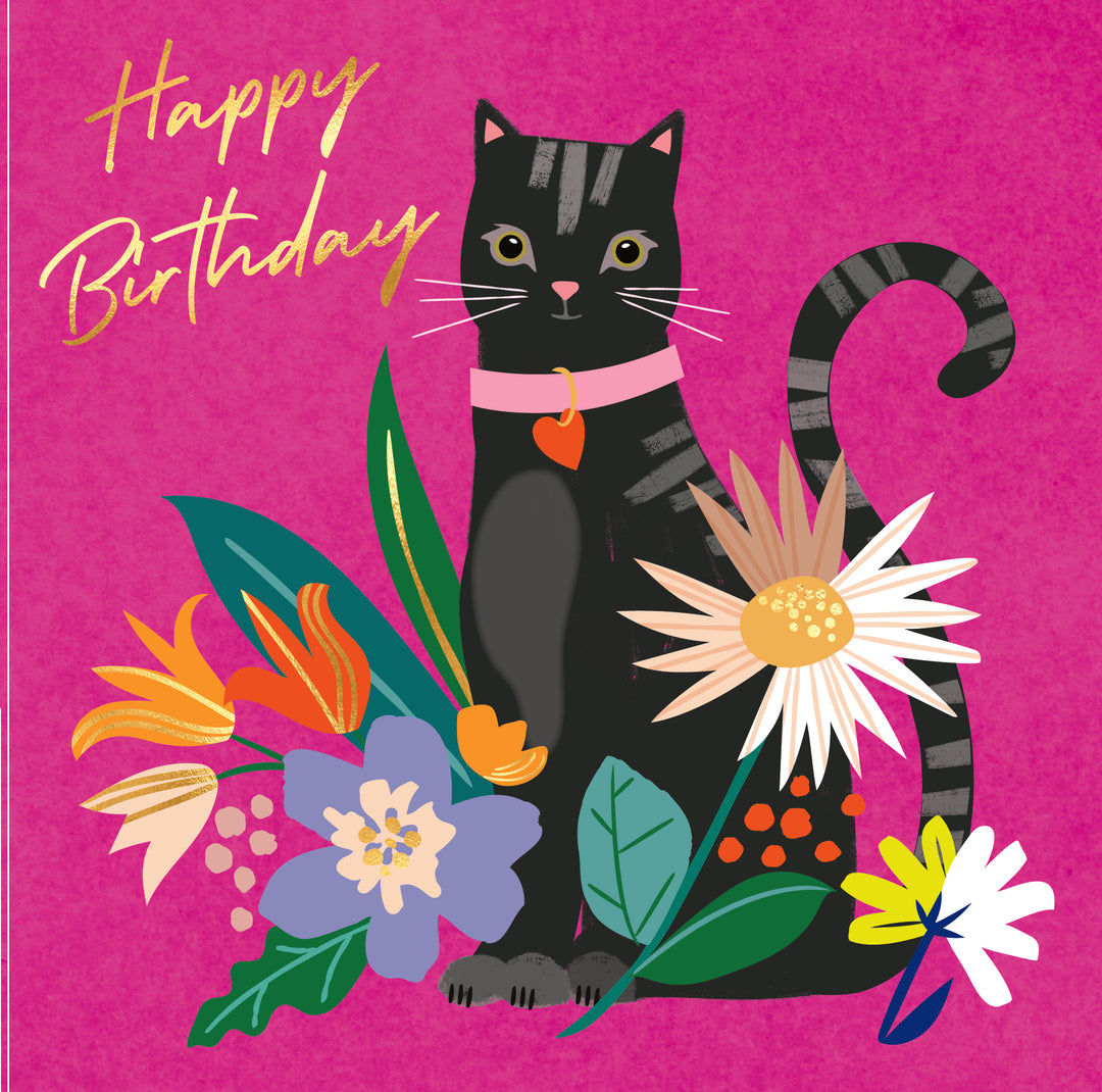 Happy Birthday Black Cat