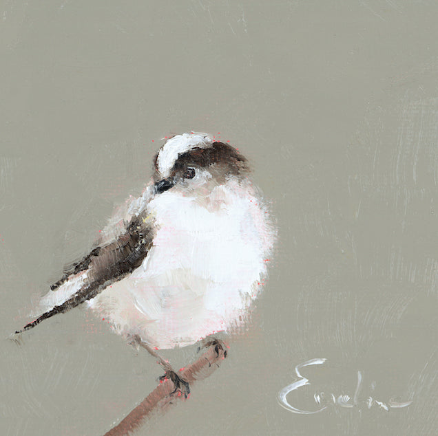 Long Tailed Tit