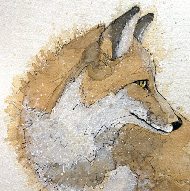 Fox