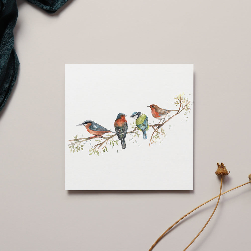 British Birds 'The Lookout'