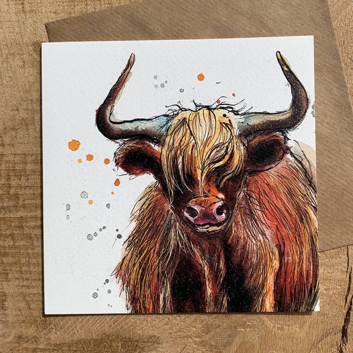 Highland Cow