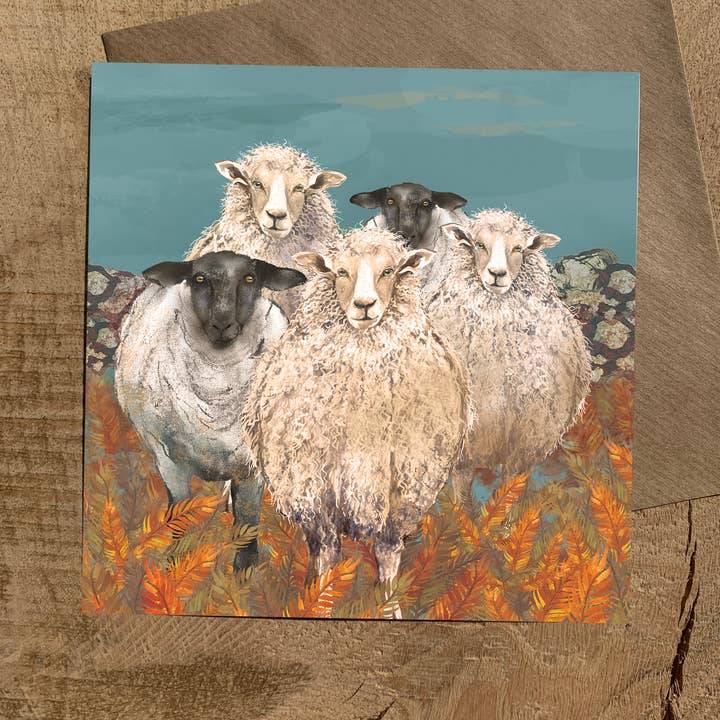 Sheep