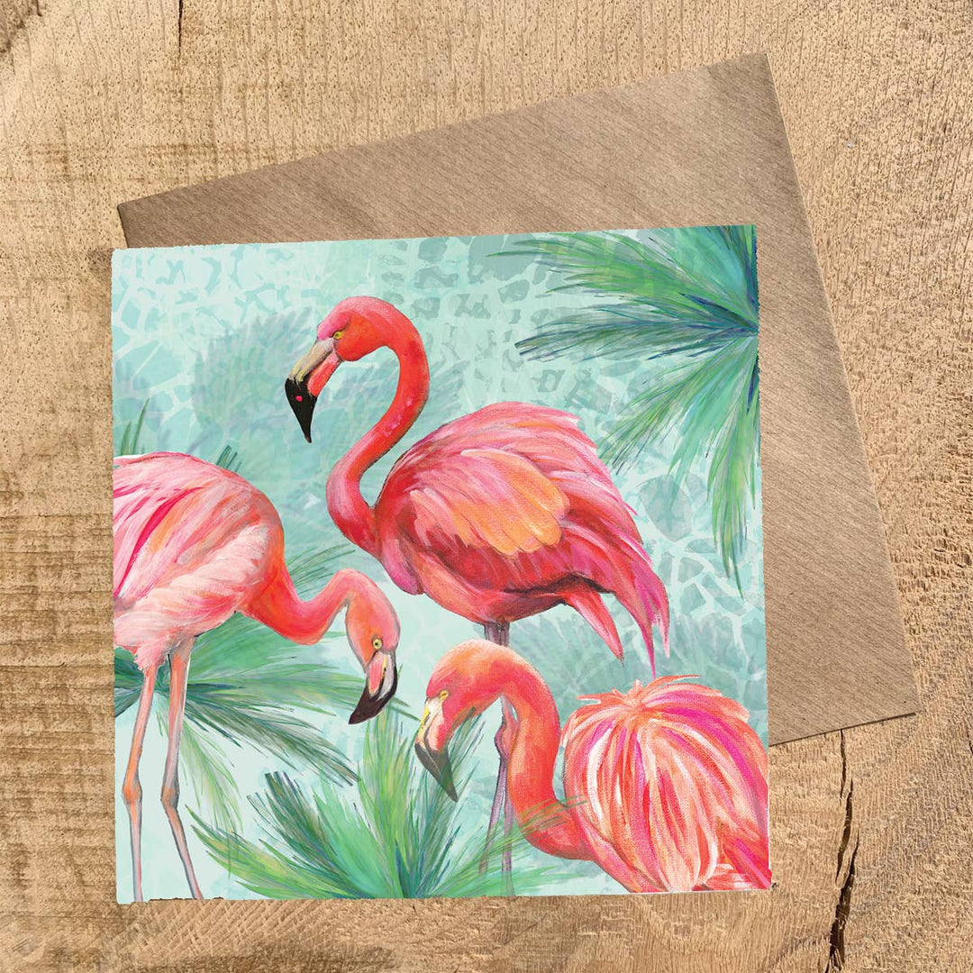 Flamingo