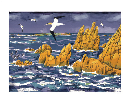 Granite, Gannet, Annet