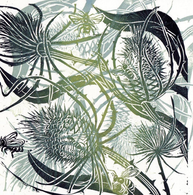Wild About Teasel