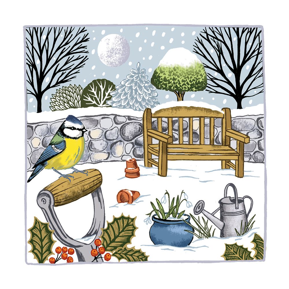 WINTER BLUE TIT