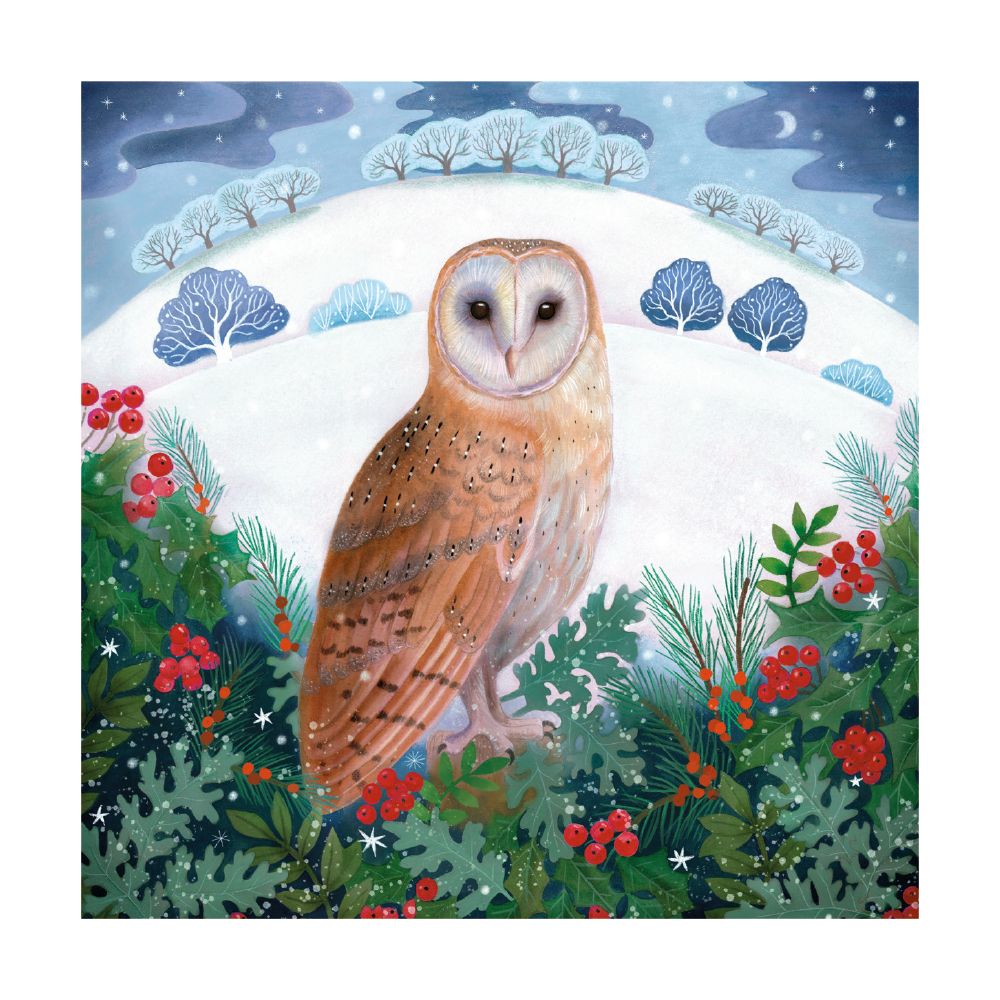 WINTER OWL