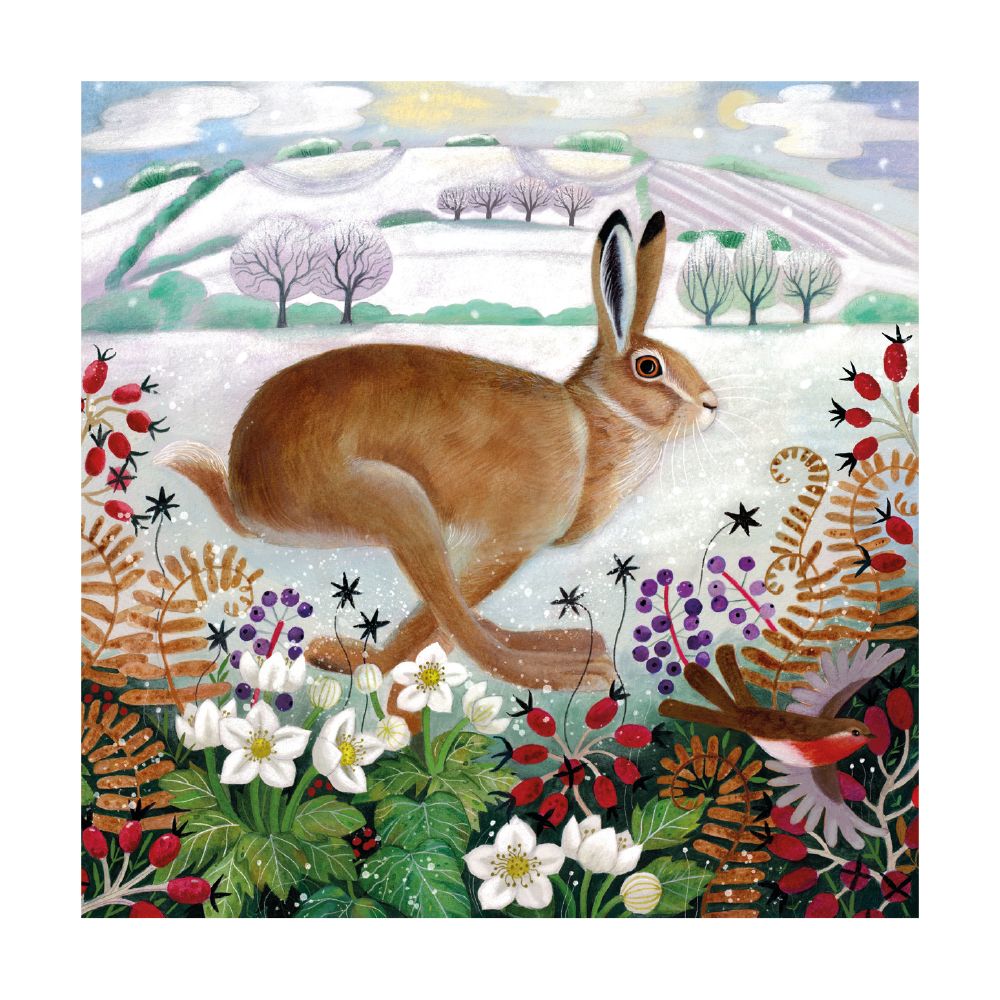 WINTER HARE