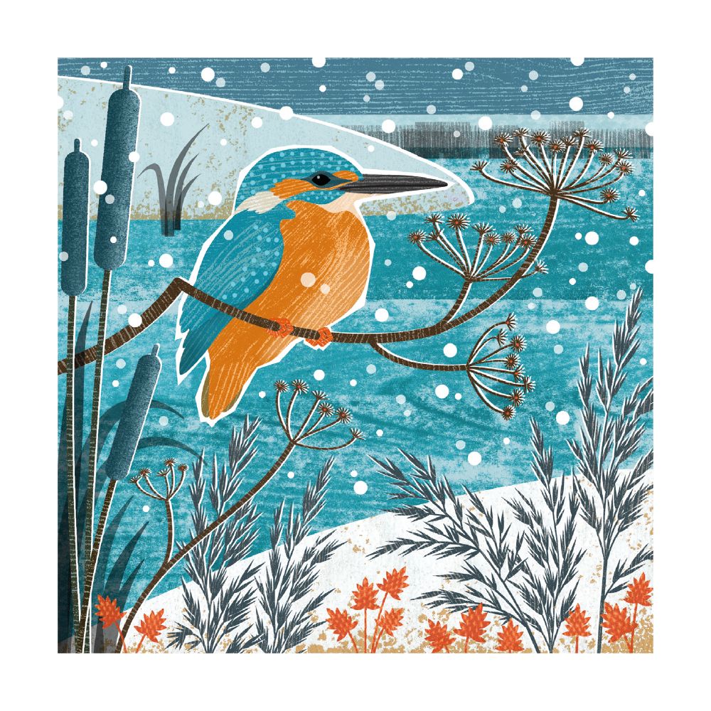 WINTER KINGFISHER