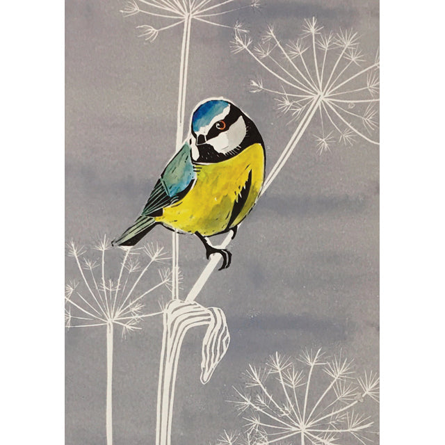 Blue Tit On Cow Parsley