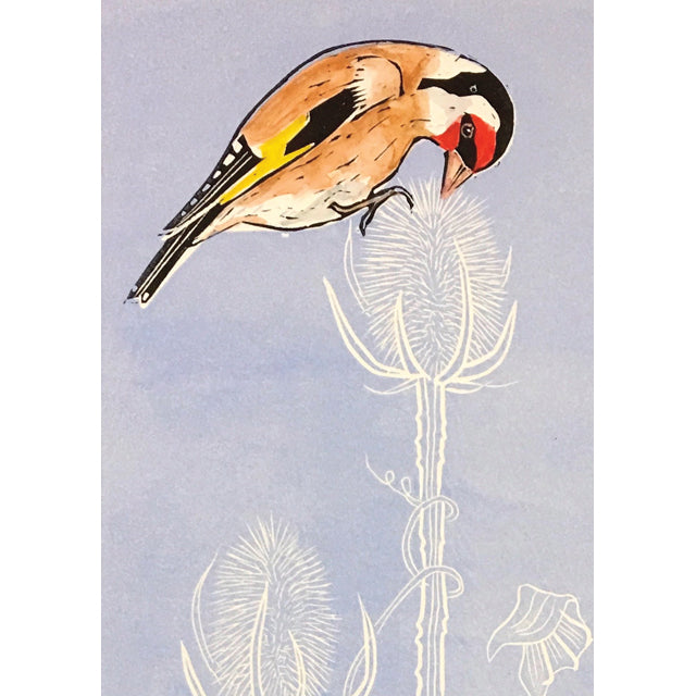 Goldfinch On Teasel