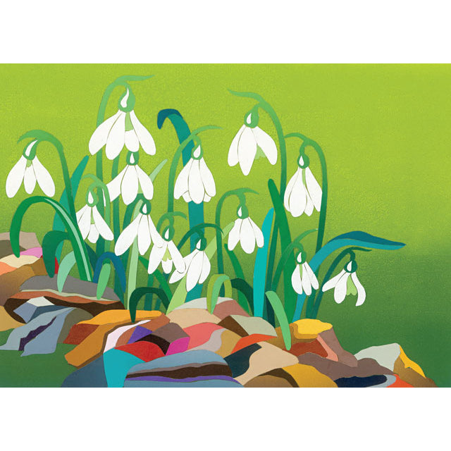 Snowdrops