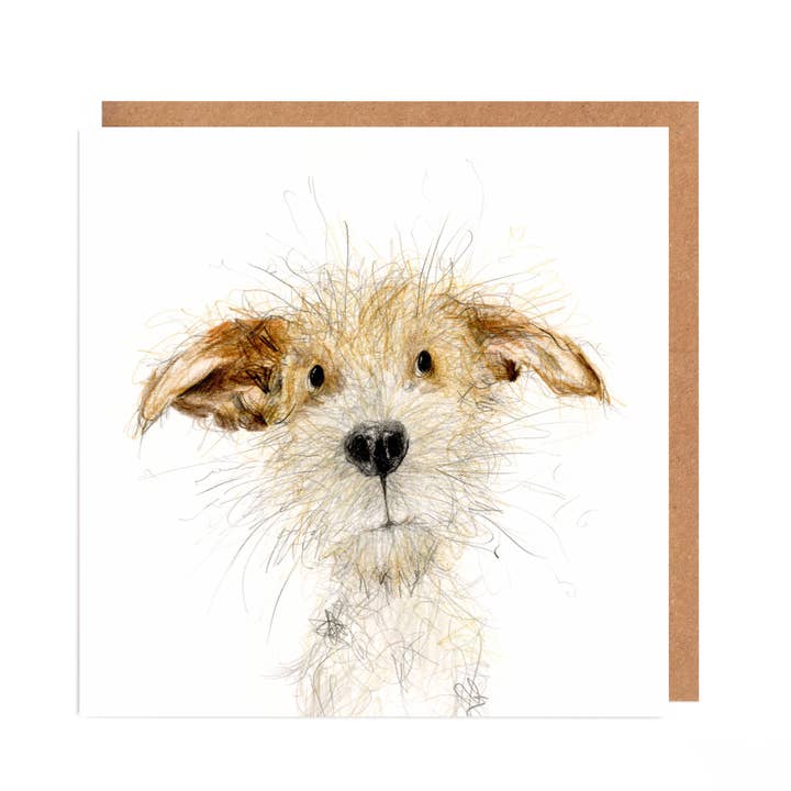 Antonio Jack Russel