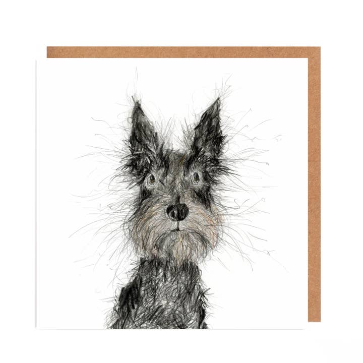 Breagh Scottish Terrier