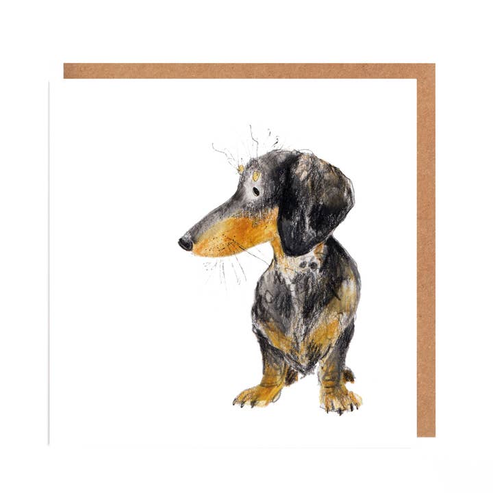Otto Dashchund
