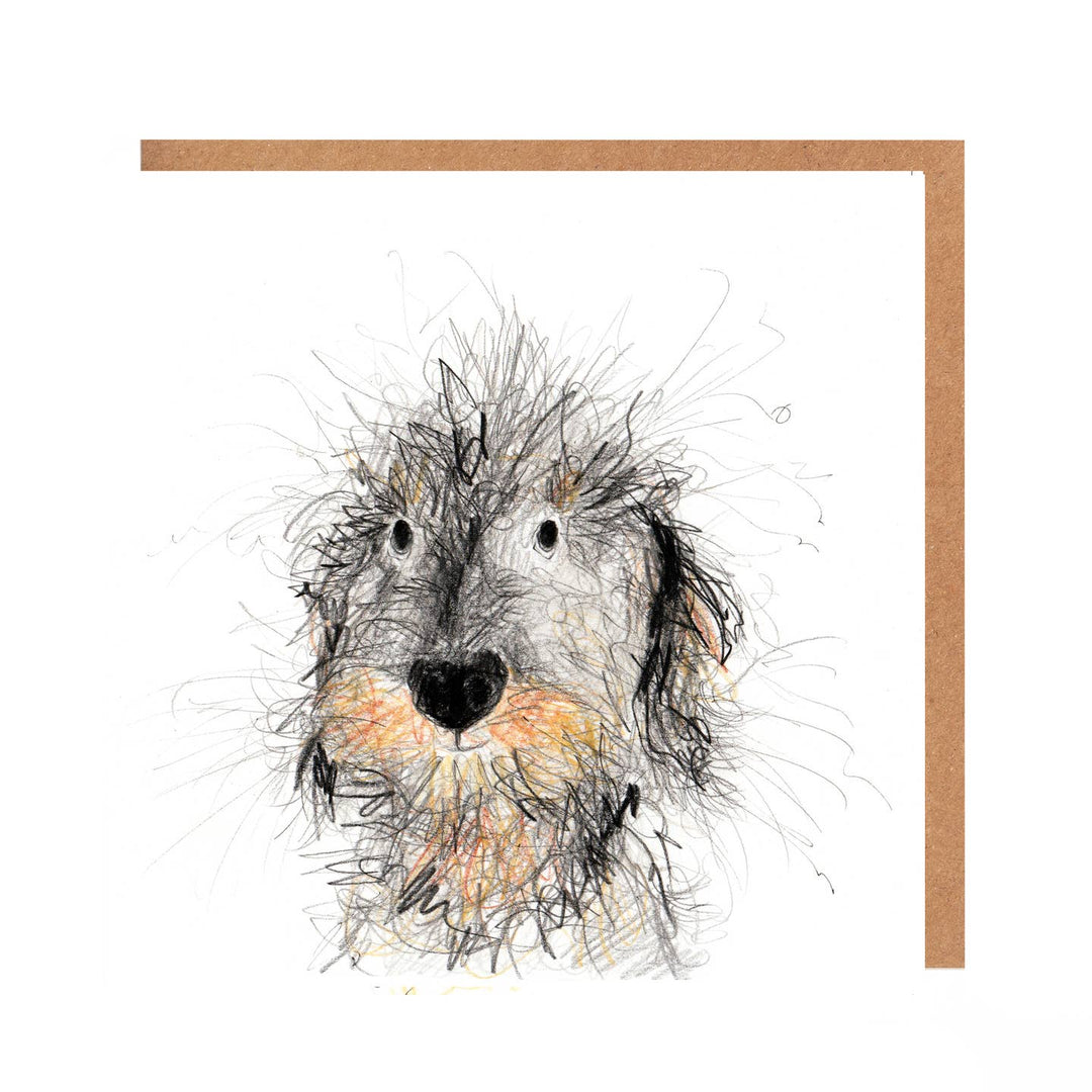 Norma Wire Haired Dachshund