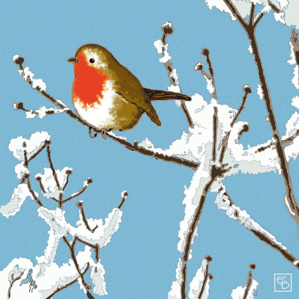 ROBIN REDBREAST