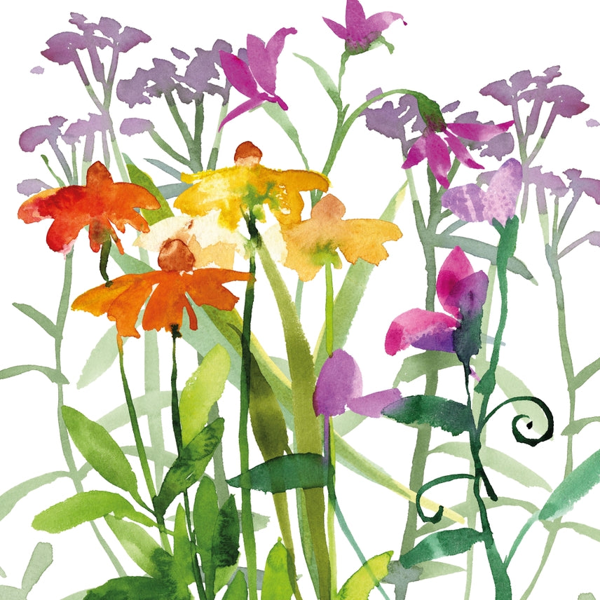 Sweetpeas and Echinacea