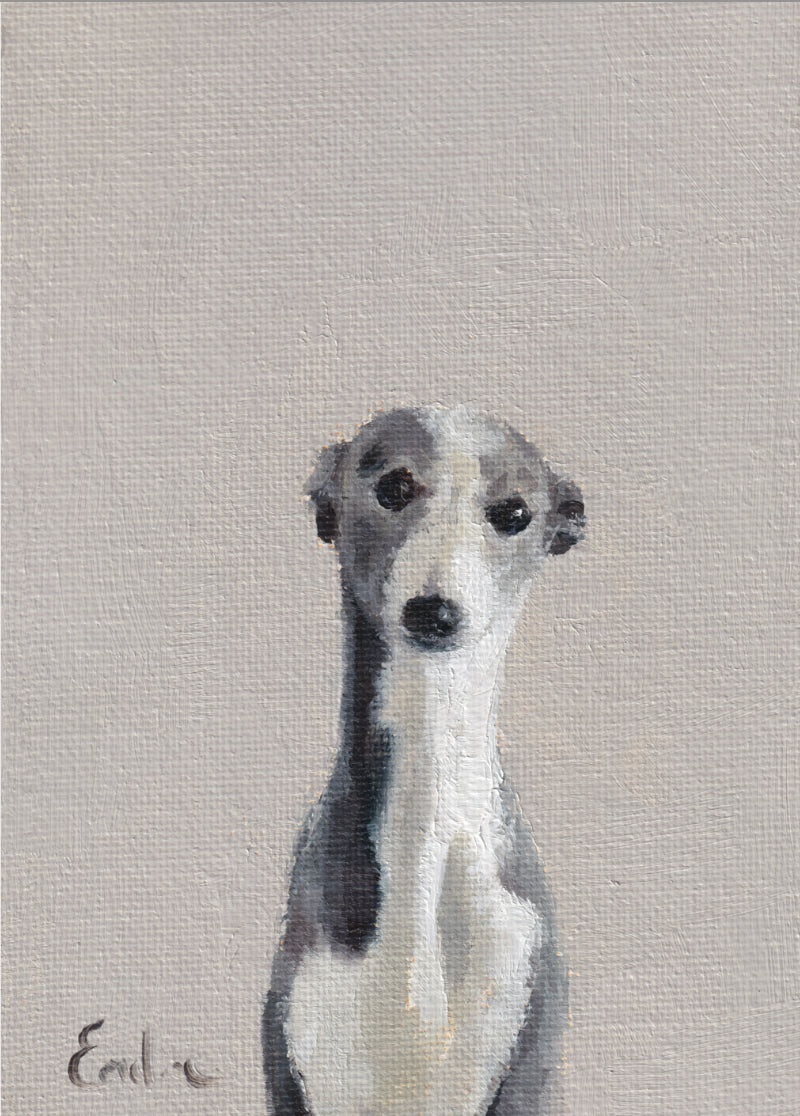 Little Grey Whippet