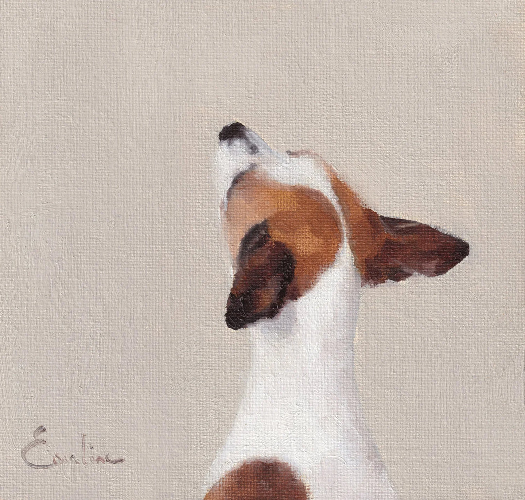 Jack Russell