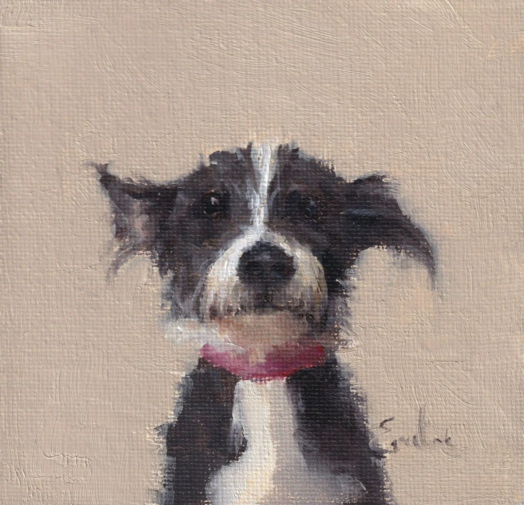 Scruffy Puppy