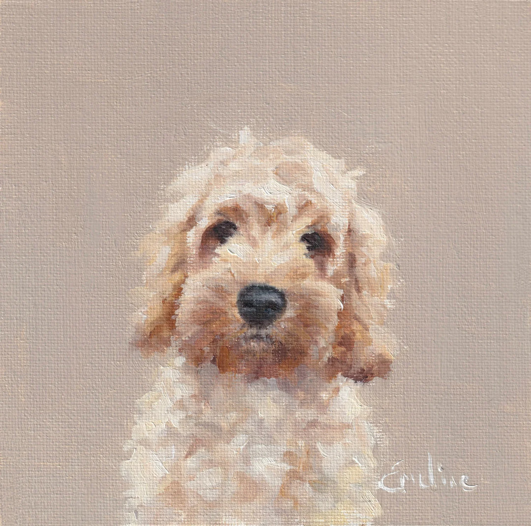 Daisy