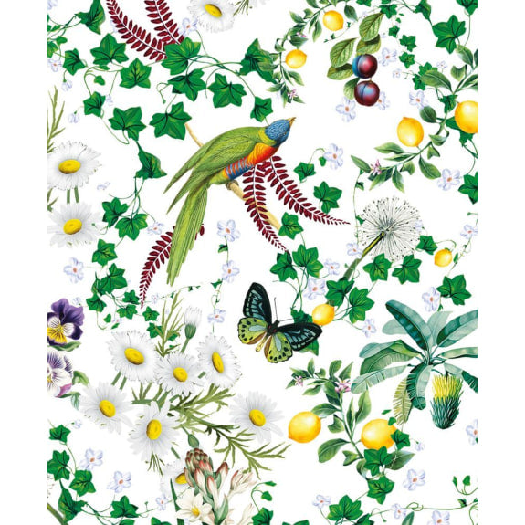 BIRDS AND BUTTERFLIES