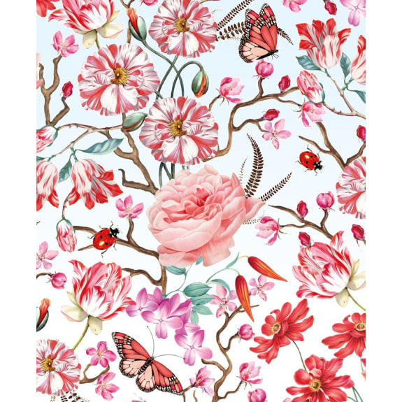BIRDS AND BUTTERFLIES