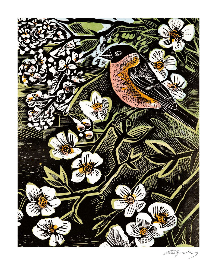 BLOSSOM & BERRIES