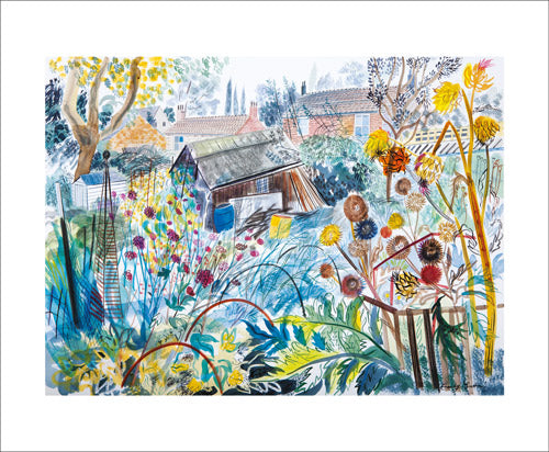 Allotment with Cardoons