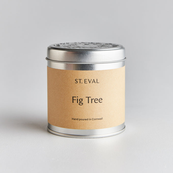 St. Eval Tin Fig Tree