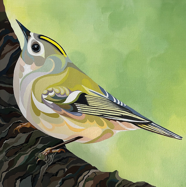 Goldcrest
