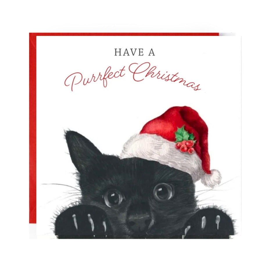 Christmas Cat