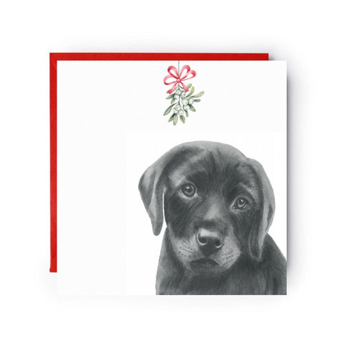 Labrador Mistletoe