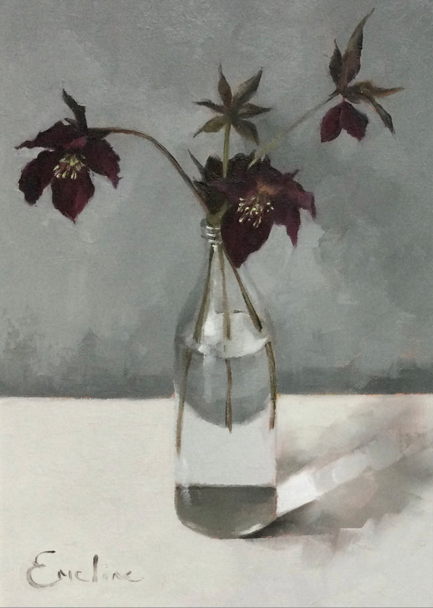 Hellebores in the Studio