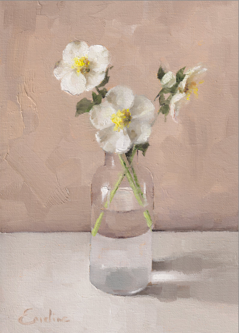 White Hellebores in the Studio