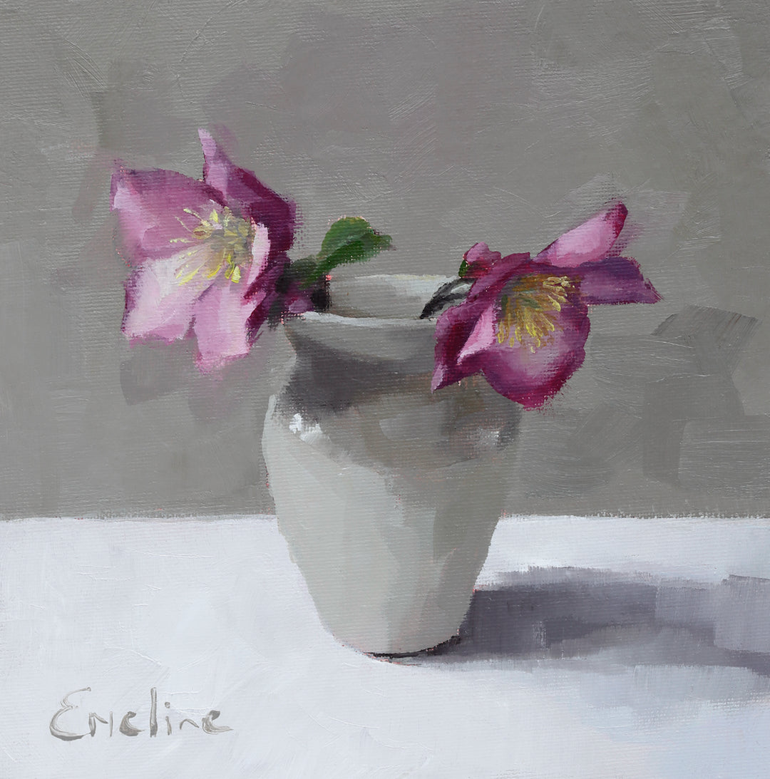 Hellebores in January